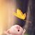 Allaina Lynn Amelung's profile image
