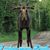 Debra Perkins-Thoroughman's profile image