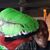 Kelly Durand's profile image