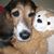 Monica Huchton's profile image