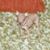 Betsy Smith Garrett's profile image