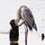 Debra Thomas Niven's profile image