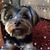 Debbie Dombrowski's profile image