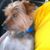 Carson Watkins's profile image