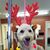 Brandi Craig Cox's profile image