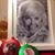 Ruth Walton's profile image
