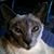 Katherine Dowdy's profile image