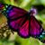 Tracy Truesdale's profile image
