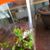 Terrie Price's profile image