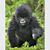 John Kenney's profile image