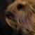 Kathy Lynn Hammond's profile image
