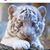 Sian Holdorf's profile image