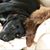 Debbie Szarka's profile image