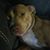 Catherine Davenport's profile image