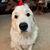 Janet Thurmond's profile image