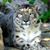 Sandra Holgate's profile image