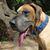 Shelley Hayse's profile image