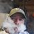 Philip Carrillo's profile image
