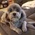 Shelly McCune Henton's profile image