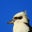 Chris M's profile image