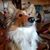 Lyne Paulsen's profile image