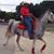 Billy Sneed's profile image