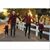 Tiffine Elaine Nelson's profile image