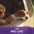 Steve Poindexter's profile image