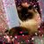 Alice Carroll's profile image