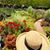 Yvette Mejia's profile image