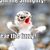Donna Kossow's profile image
