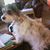 Mary B. Chapman's profile image