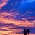 Kimberly Vacante's profile image