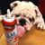 Linette Cox Mccurdy's profile image