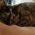 Rena Zellman's profile image