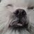 Greg Gutknecht's profile image