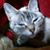Johnathan Warlick's profile image