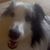 Mark Nicodemus's profile image