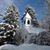 Shari Staton's profile image