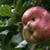 Shubham Kumar's profile image