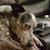 Doug Talbert's profile image