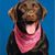 Donna Lang's profile image