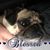 Billie Couldry's profile image