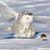 Mike Kronner's profile image