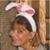 Pat Morrison's profile image