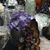 Terri Howell's profile image