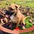 Jo Anne Harding's profile image