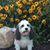Janice Pilkenton's profile image