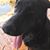 Delinda Zehner's profile image