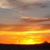 Terri A Kelley-Kidwell's profile image